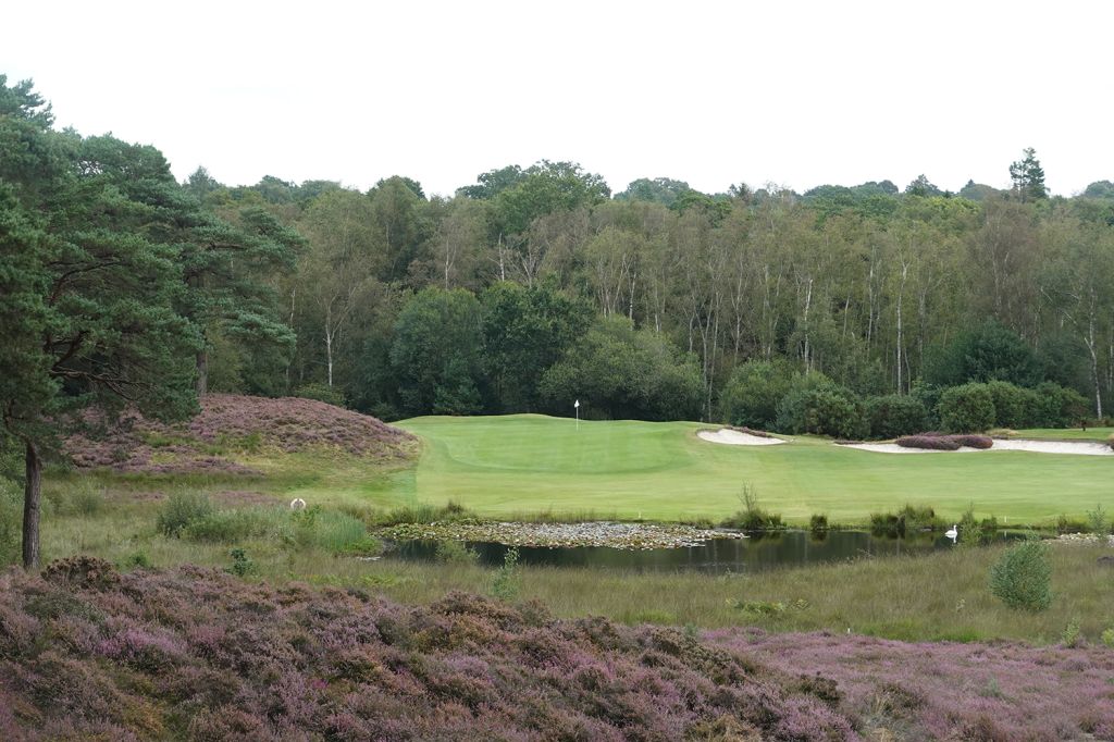 6th Hole at West Sussex Golf Club (222 Yard Par 3)